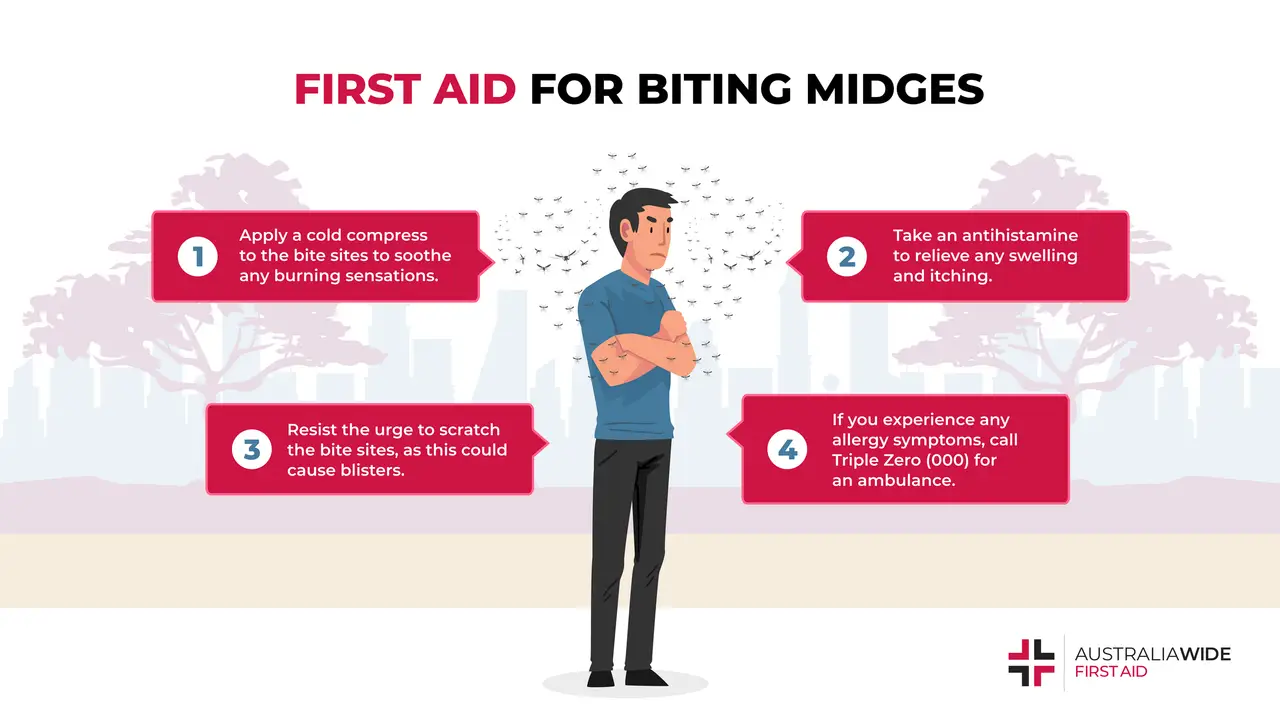 Infographic on First Aid for Biting Midges